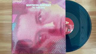 Northern Portrait - Nineties Survivor (2022) (Audio)