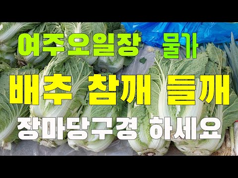 배추가격 잡곡  여주 오일장에서 알아봅니다👉(고추는별로 없네요10월 30일)