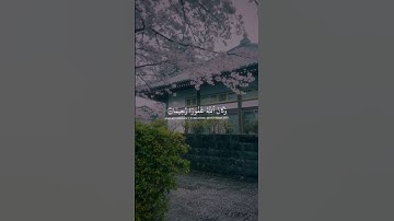 القارئ :- ادريس ابكرسورة :- الفرقان #قران #قران_كريم #quran #qur49n  #ادريس_ابكر #سورة_الفرقان