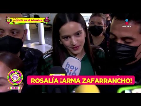 Rosalía arma ZAFARRANCHO