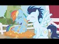 [MLP] Rainbow Dash's Most Adorable Scenes