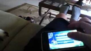 Tiny Wings Glitch