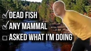 Can I Beat This Fishing Challenge in Under 1 Hour?