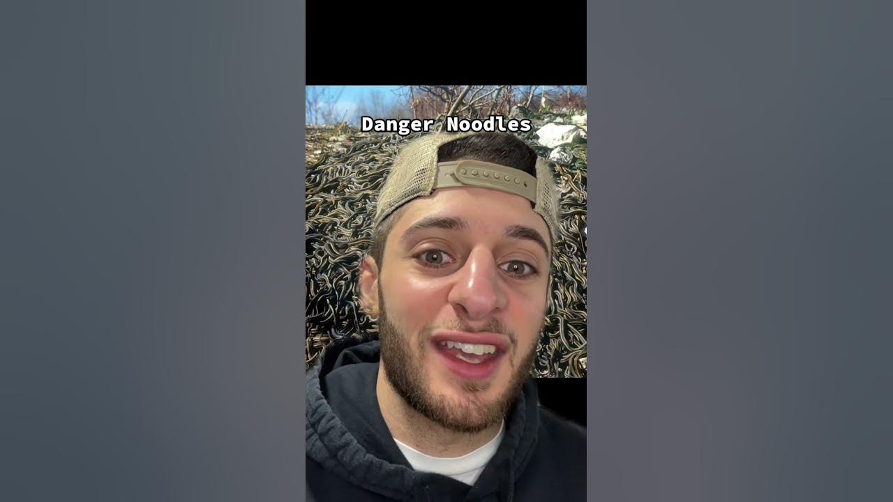 Snakes continue to scare me YouTube