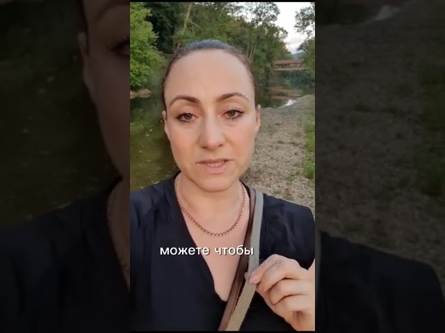 У собаки течка! На что обратить внимание во время прогулок