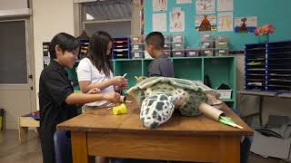 HBA Fourth Graders Learn About Prosthetics