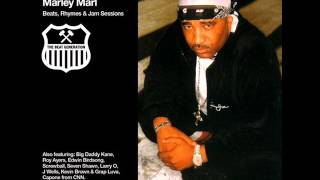 marley marl lost beat