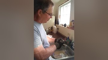 How to open Quahogs. June 25, 2014 7:50 AM