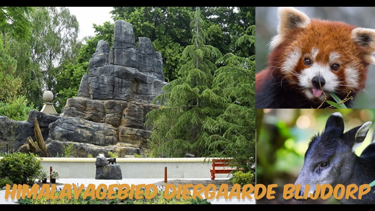 Diergaarde Blijdorp - Himalaya gebied
