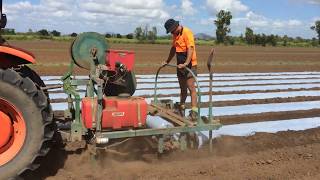 Hydrox Technologies laying single row layer - Gumlu QLD