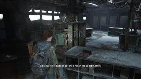 The Last of Us Part 2 Walkthrough part 3 - ELLIE AND DINA PATROL (NO COMMENTARY)