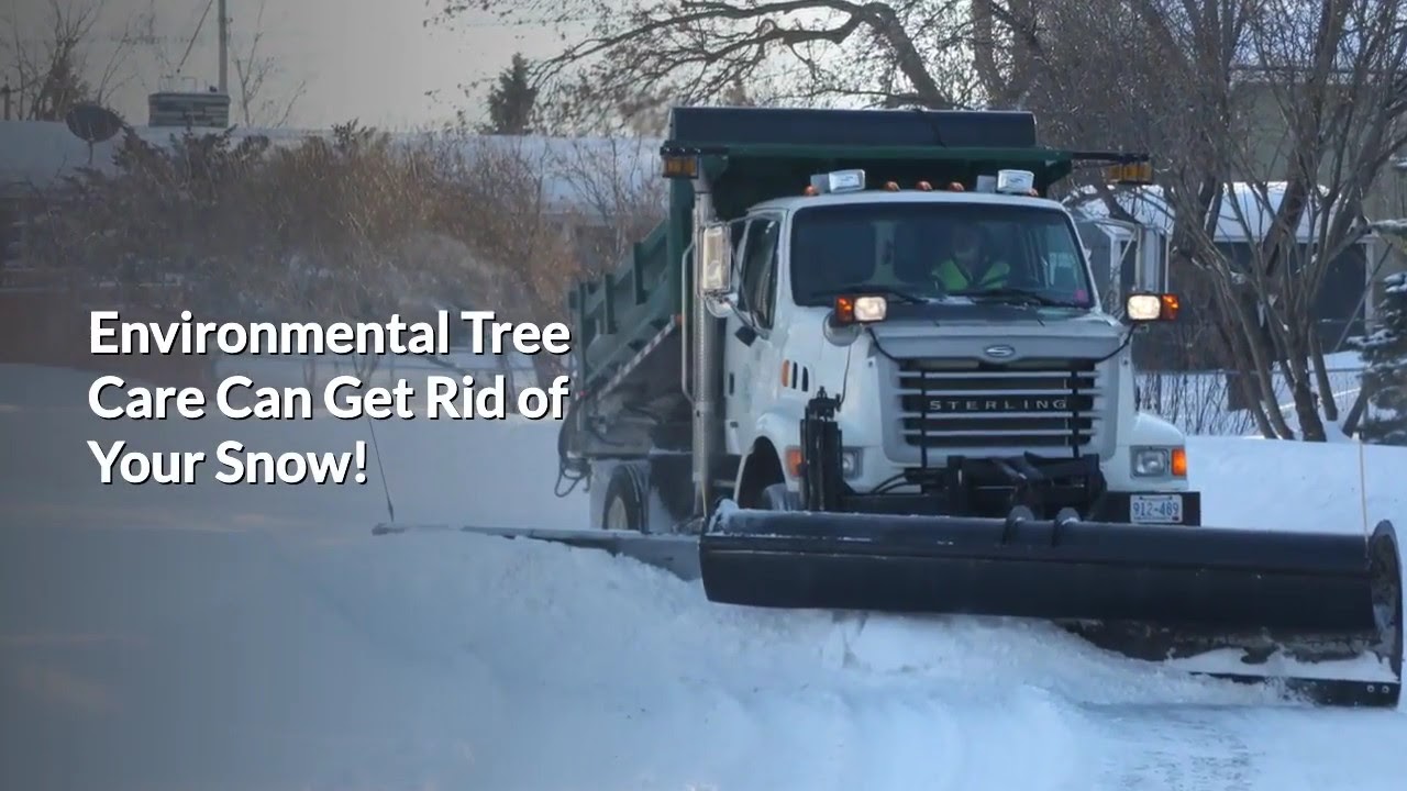 Denver Snow Removal Service YouTube