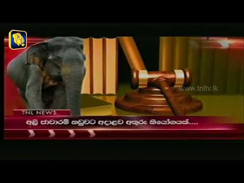 Supreme Court issued an interim order not to release illegal elephants !