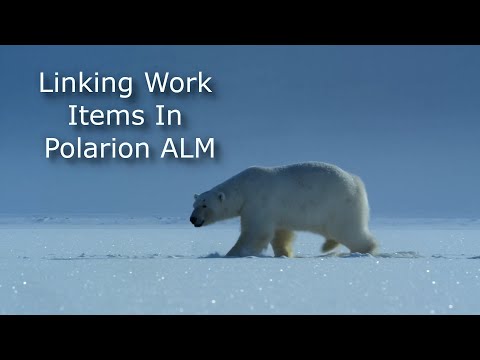 Polarion User Guide - Linking Workitems In Polarion #18