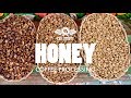 Honey Coffee Processing