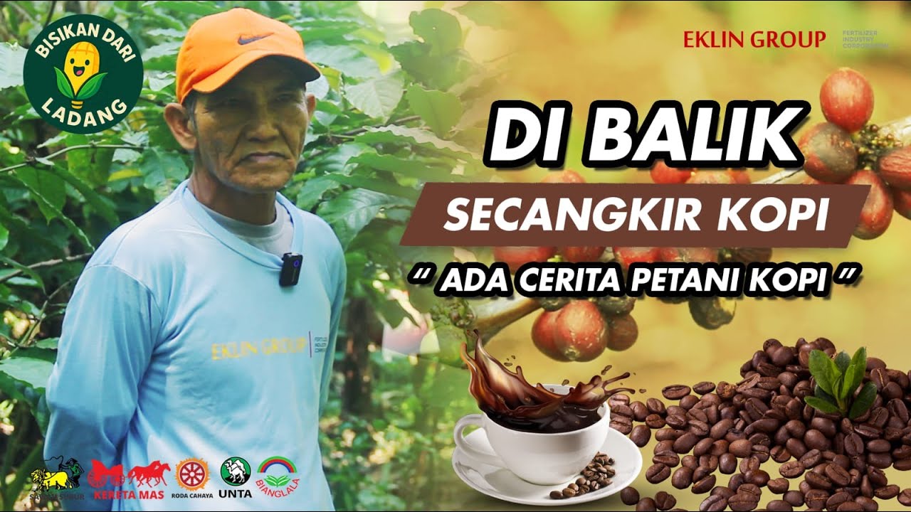 Rahasia Petani Kopi: Dari Ladang Bisa Jadi Cuan Miliaran?