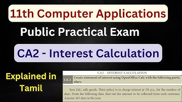 Open Office Calc - Interest Calculation | CA2 - 11th Computer Application Practical in Tamil | 2024