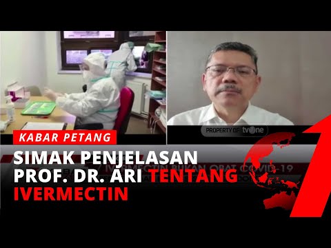 Video: Penggunaan Ivermectin Yang Selamat - Dosis Beracun Ivermectin Pada Anjing