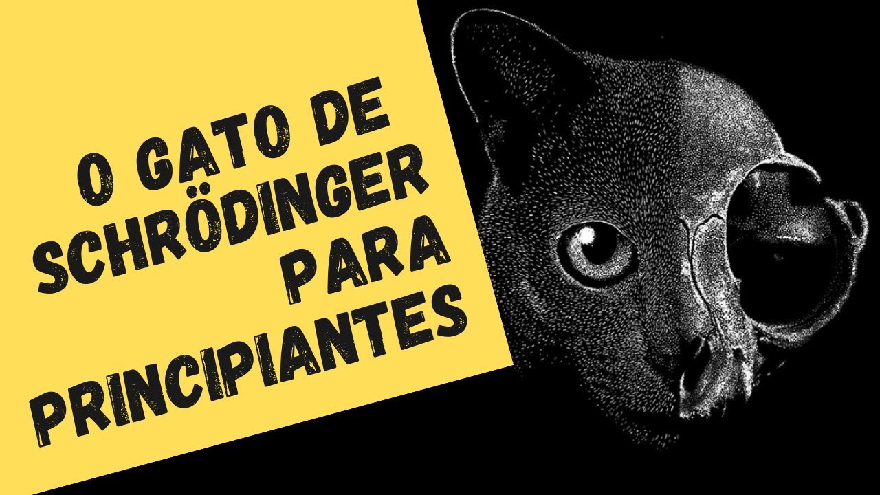 O que é o Gato de Schrödinger?