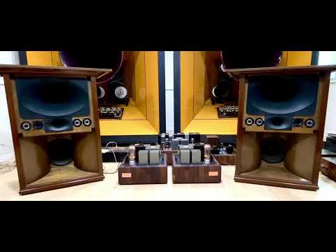 GM70 SE tube amp with YL Acoustic YL-17 Pantheon