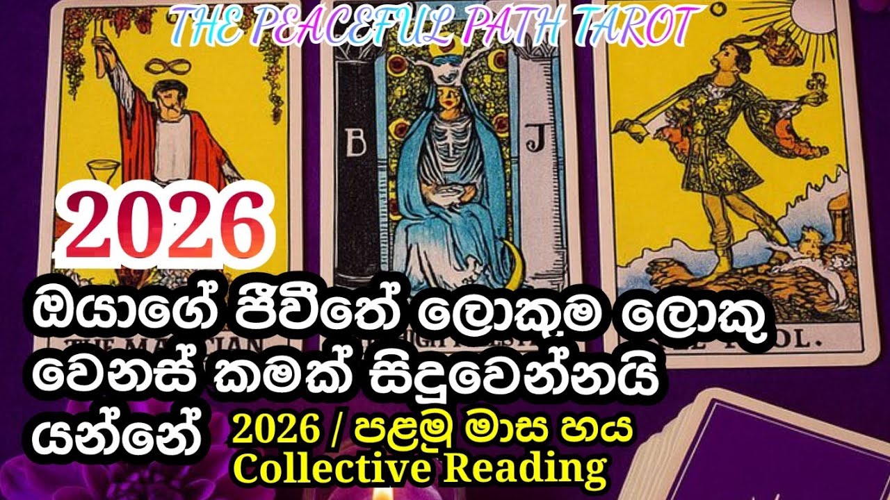 2026 ඔයාගේ ජීවීතේ ලොකු වෙනස් කමක් ❤️ Big changes in your life @PEACEFULPATHTAROT-11 #tarot #love 