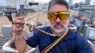 TXV Troubleshooting and Repair