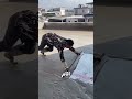 Uncle ruined the mat in the cement  mp3