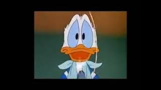 Donald Duck sfx Three for breakfest.mp4