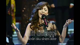 Elif Güreşçi ~ Hicrân oku sînem deler Resimi