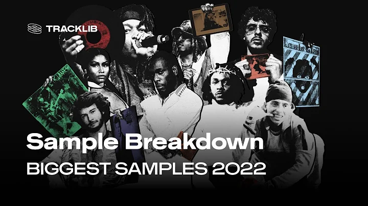 Sample Breakdown: The Biggest Samples 2022