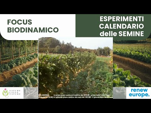 Orto: Focus Biodinamico