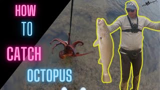 Witsands Kabeljou ( how to catch octopus for bait )