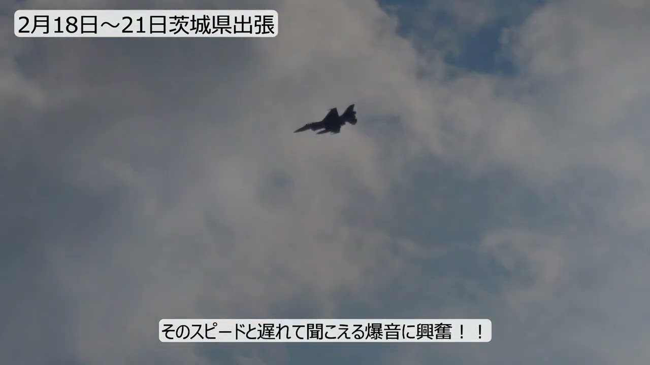 EMSの2月の活用状況