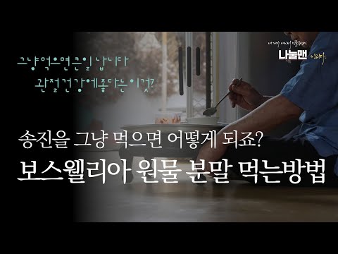 보스웰리아 먹는방법 부작용 환 분말 원물 나눌맨 종류별 살펴봄