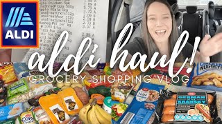 Celebrity NEW* ALDI GROCERY HAUL | LARGE FAMILY GROCERY HAUL | ALDI GROCERY SHOPPING VLOG 2022 SHOP WITH ME 🛒 Net Worth