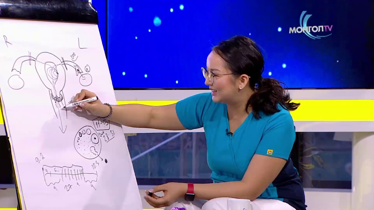 ӨНӨӨ ӨГЛӨӨ - Сугармаа эмчийн зөвлөгөө