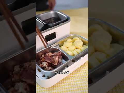 Multi-Functional Electric Lunch