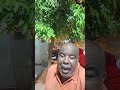 القضاء على السعلوه في عزبه السنيه