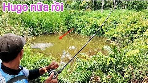 Câu cá lóc_Khu mới gian nang nhưng lên hàng thật phê @Hữunghị tv