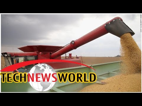 Trade war fallout: Soybean prices plunge to a 10-year low