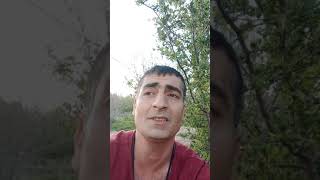 Benim Köpek Besledigimi Bilmeyenler Varmış Elazığ Kangal Ve Anadolu Boz Çoban Köpeği 0551 - 978 - 01 - 43