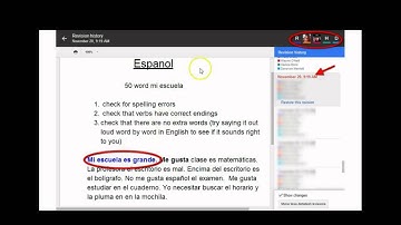 Vodcast:  Google Docs Synchronous Collaborative Editing