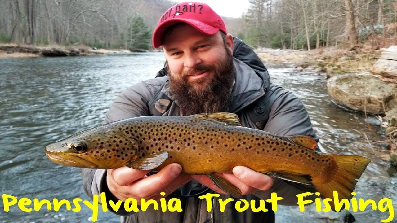 Pennsylvania Trout Fishing 