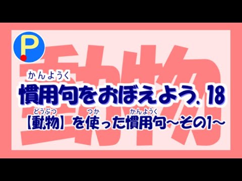 慣用句を覚えよう18 動物 を使ったものその1 ポテスタディ 92 Youtube