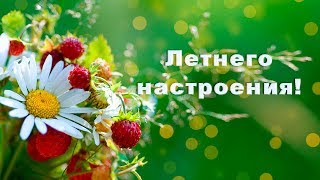 Чудесного летнего настроения! Приятного отдыха!