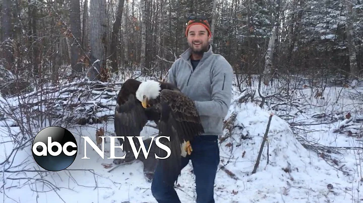 Watch Two Brothers Rescue a Bald Eagle and Take an Amazing Selfie