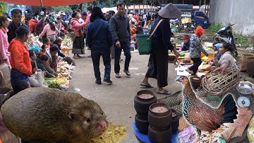 Chợ phiên nước bạn Lào toàn đồ rừng quý hiếm - LAM SƠN TV