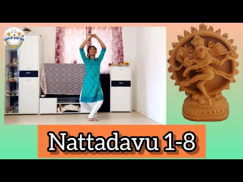 Bharathanatyam basics | Nattadavu 1-8 (second speed)