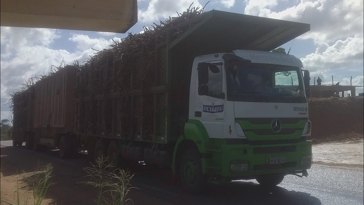 RodoJr Transportes - comentários, fotos, número de telefone e