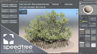 Black Mangrove | Speedtree Cinema 9 Tutorial